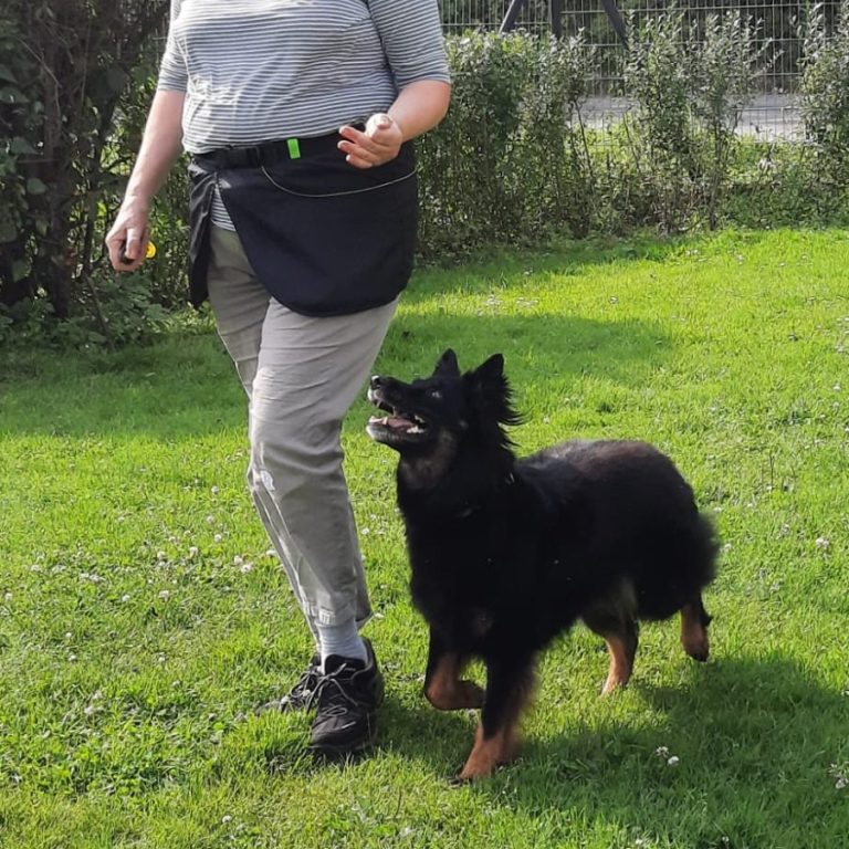 obi2 https://www.hsf1959.de/wp-content/uploads/2025/08/obi2.jpg