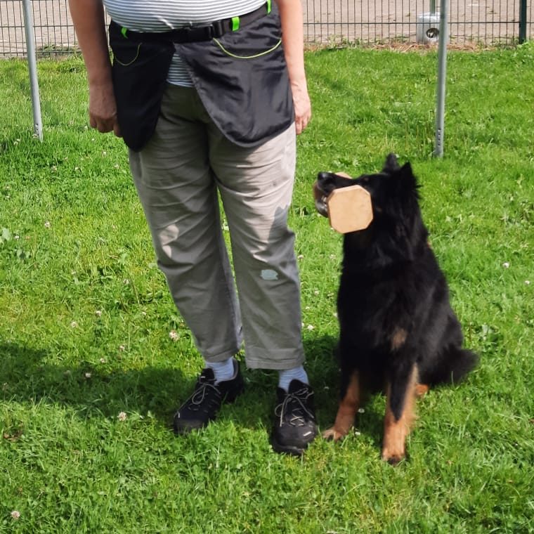 obi3 https://www.hsf1959.de/wp-content/uploads/2025/08/obi3.jpg