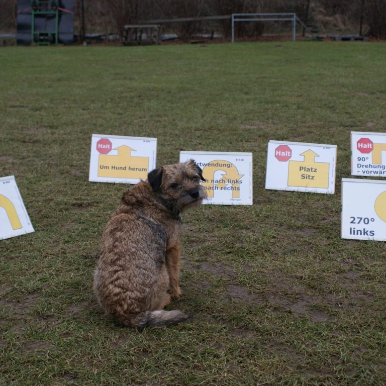 ro1 https://www.hsf1959.de/wp-content/uploads/2025/08/ro1.jpg