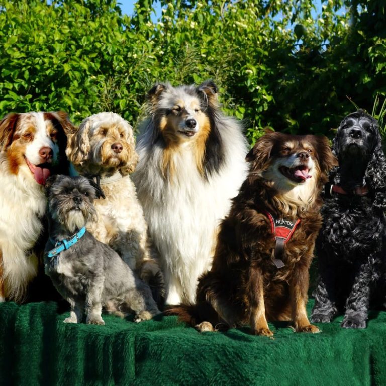 ro2 https://www.hsf1959.de/wp-content/uploads/2025/08/ro2.jpg