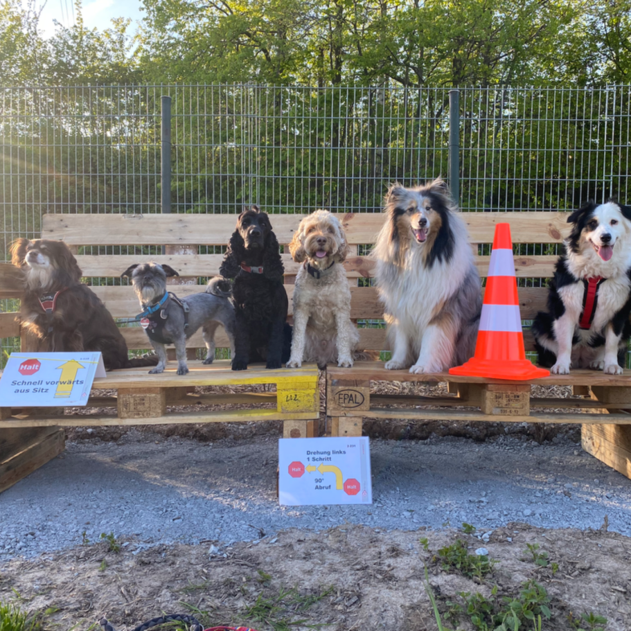 ro3 https://www.hsf1959.de/wp-content/uploads/2025/08/ro3.png