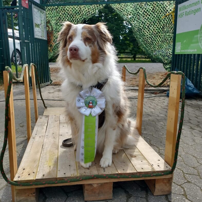 449002671_877485201092023_5876912537248495889_n https://www.hsf1959.de/wp-content/uploads/2025/09/449002671_877485201092023_5876912537248495889_n-e1756922787898.jpg