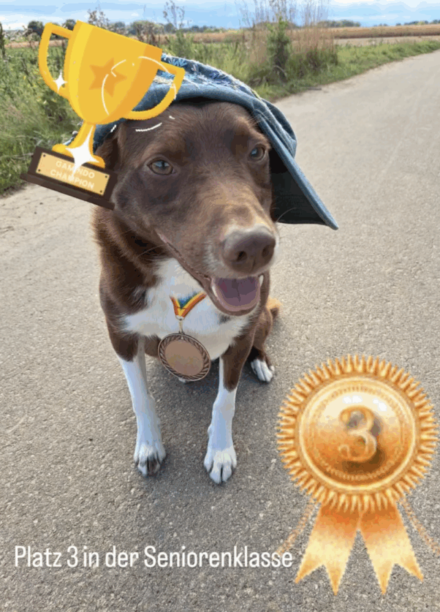 Platz 3. in der Seniorenklasse