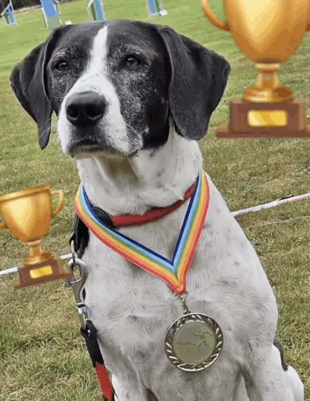 Kämpfen Siegen Feiern