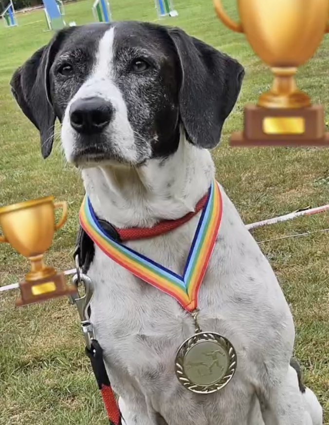 Bildschirmfoto 2025-09-01 um 22.27.28