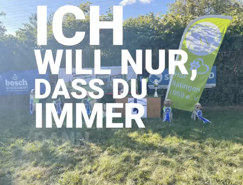 Bildschirmfoto 2025-09-01 um 22.34.17