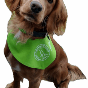 Latz https://www.hsf1959.de/wp-content/uploads/2025/09/Latz-300x300.png