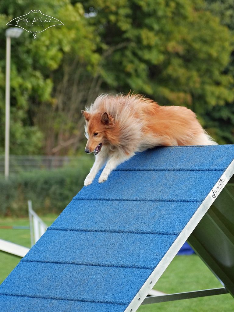 P1014485_1024_2025-09-20-vormittag-1 P1014485_1024_2025-09-20-vormittag-1