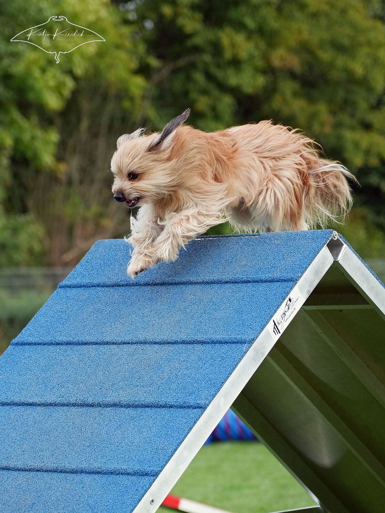 P1014613_1024_2025-09-20-vormittag-1 P1014613_1024_2025-09-20-vormittag-1