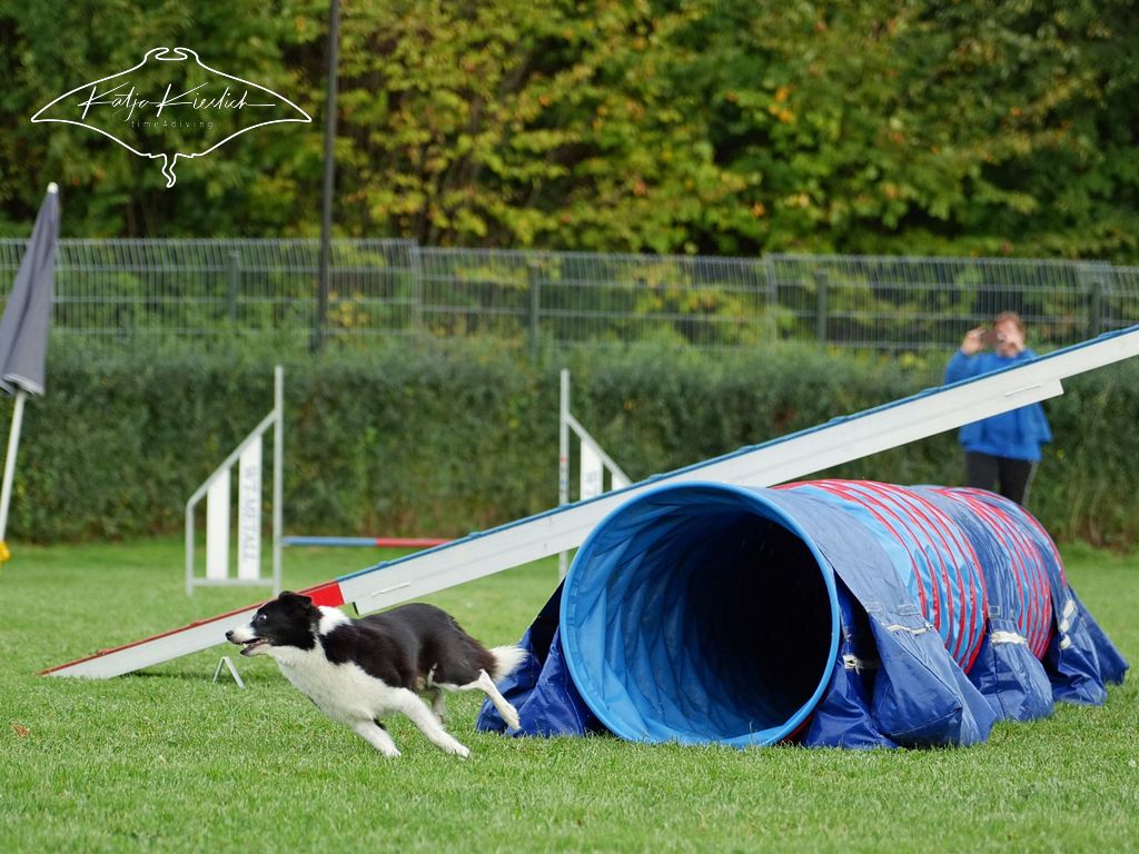 P1014713_1024_2025-09-20-vormittag-1 P1014713_1024_2025-09-20-vormittag-1