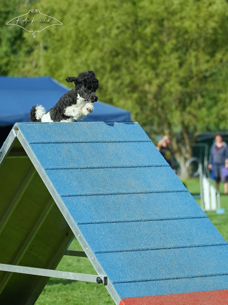 P1014915_CR_1024_2025-09-20-vormittag-2 P1014915_CR_1024_2025-09-20-vormittag-2