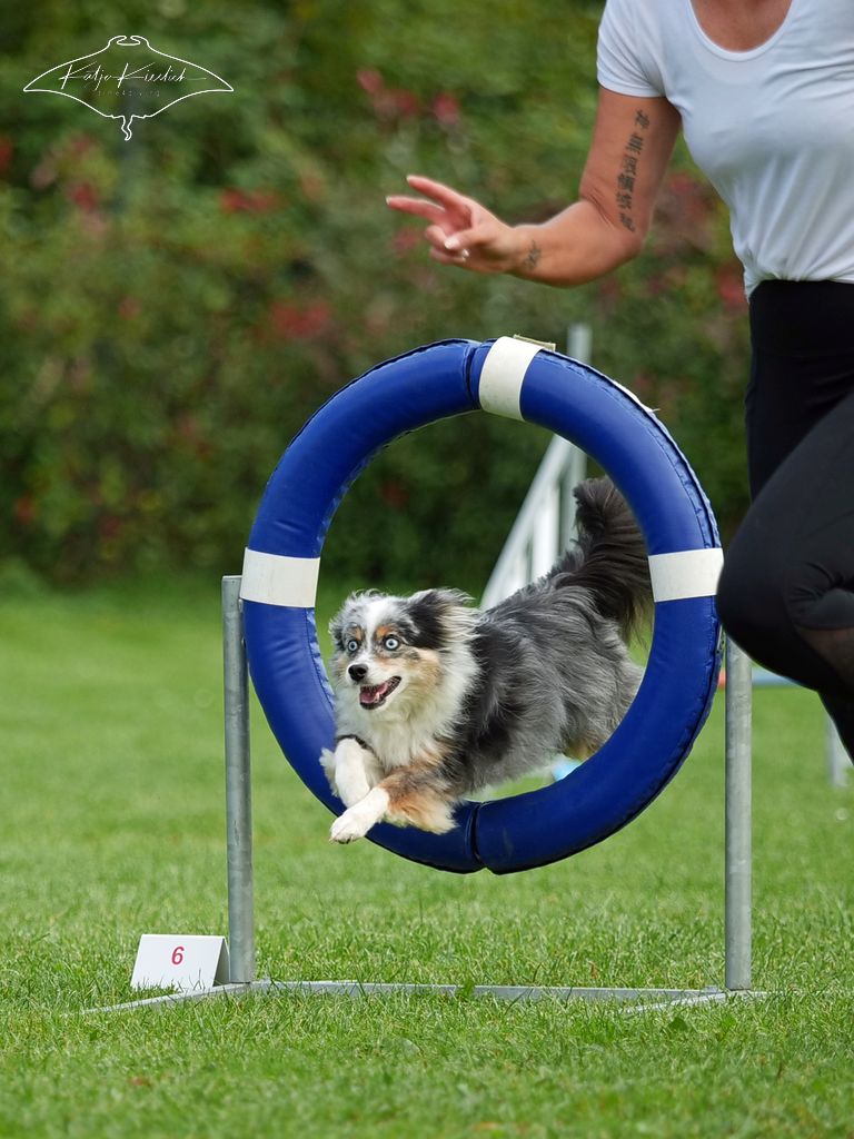 P1025555_CR_1024_2025-09-20-vormittag-3 P1025555_CR_1024_2025-09-20-vormittag-3