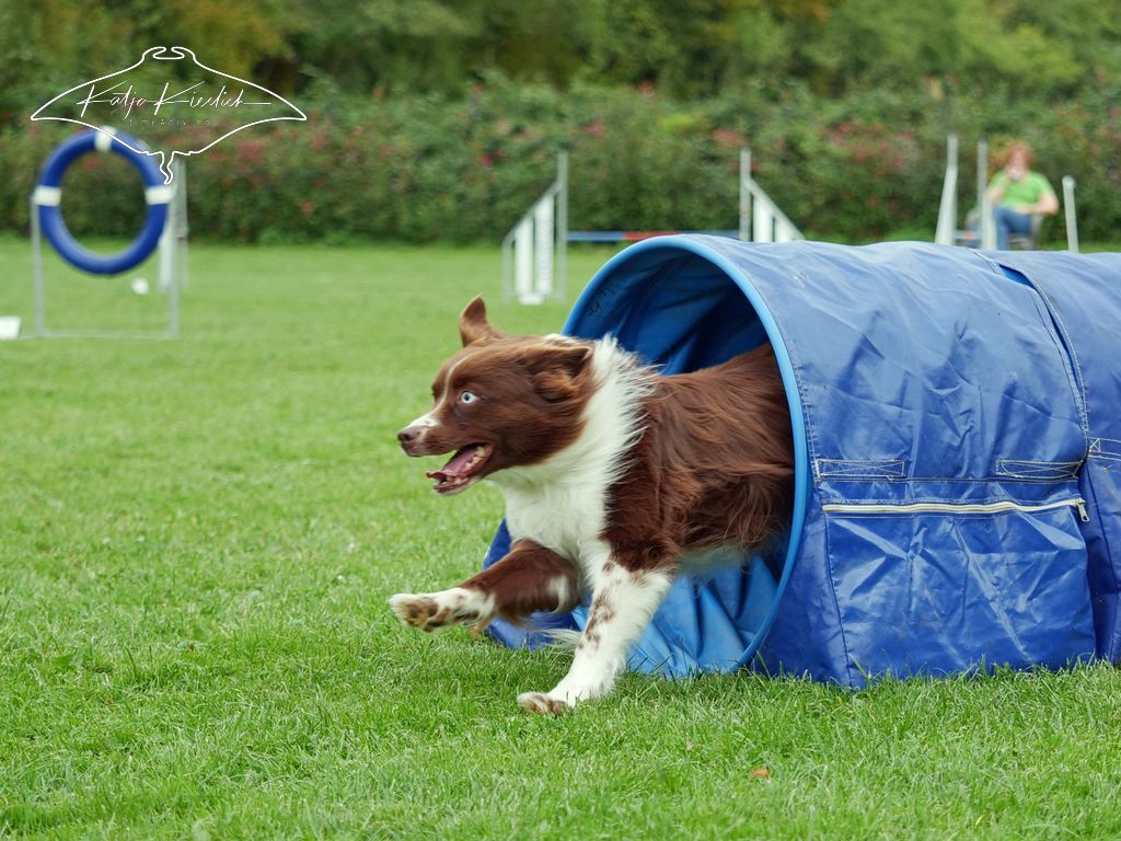 P1025778_CR_2025-09-20-vormittag-4 P1025778_CR_2025-09-20-vormittag-4