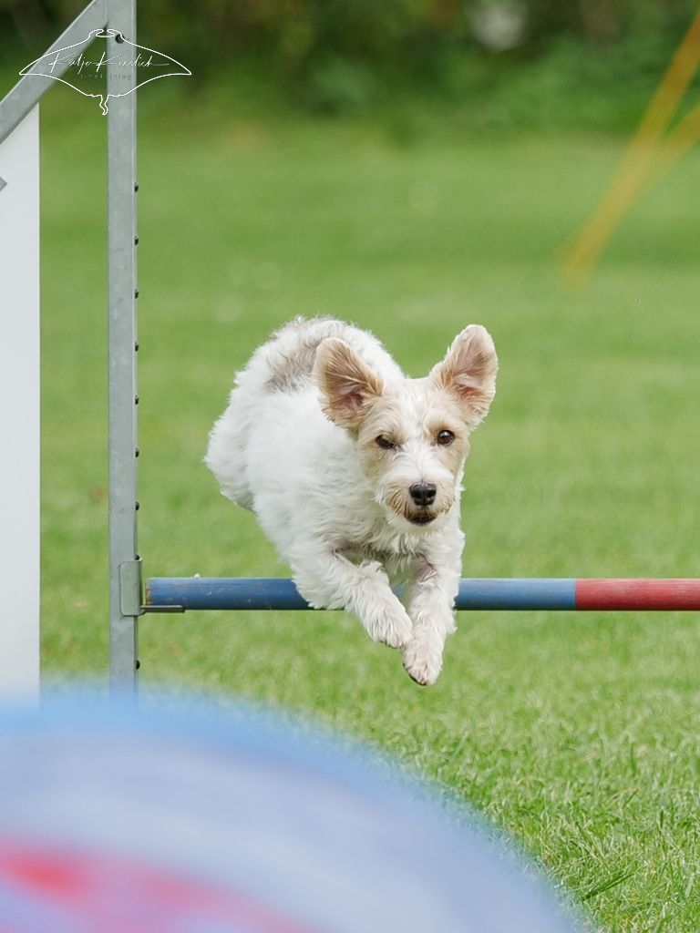 P1025993_CR_2025-09-20-vormittag-4 P1025993_CR_2025-09-20-vormittag-4