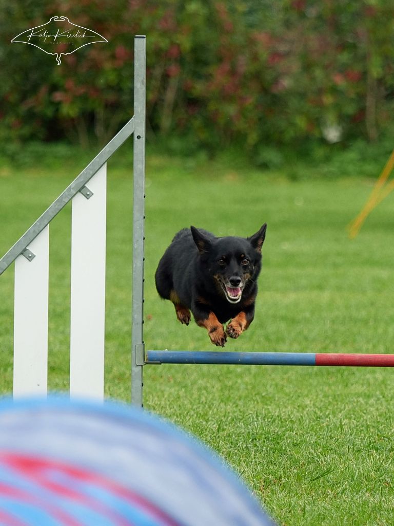 P1026027_CR_2025-09-20-vormittag-4 P1026027_CR_2025-09-20-vormittag-4