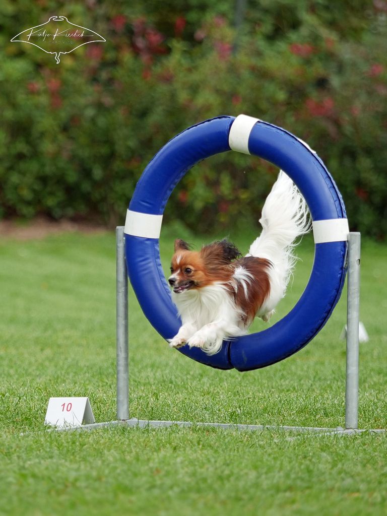 P1026070_CR_2025-09-20-vormittag-4 P1026070_CR_2025-09-20-vormittag-4