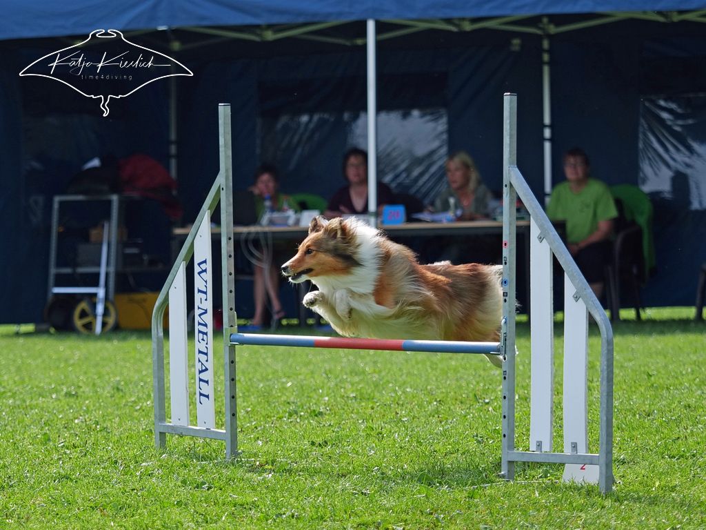 P1026220_CR_2025-09-20-nachmittag-1 P1026220_CR_2025-09-20-nachmittag-1