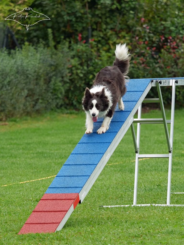 P1047991_CR_2025-09-21-vormittag-2 P1047991_CR_2025-09-21-vormittag-2