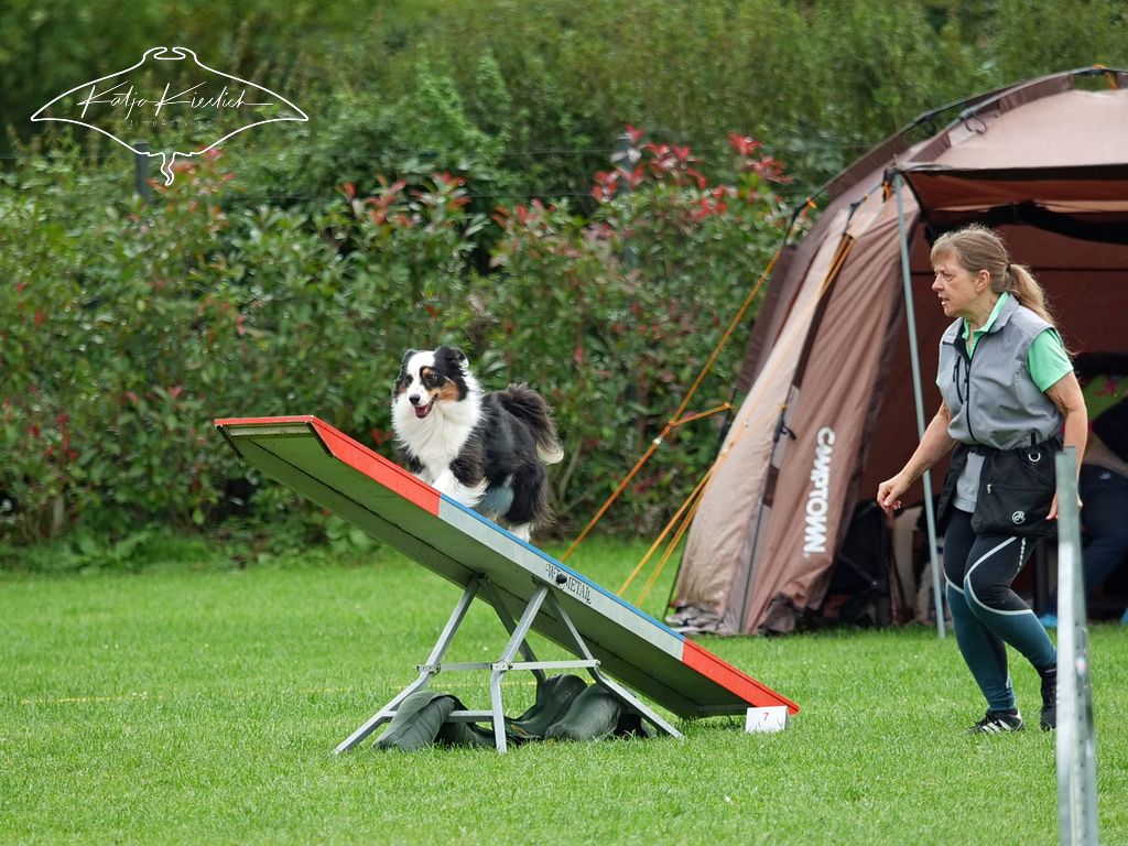 P1048050_CR_2025-09-21-vormittag-2 P1048050_CR_2025-09-21-vormittag-2