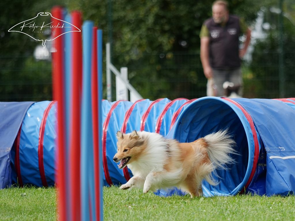 P1048391_CR_2025-09-21-vormittag-4 P1048391_CR_2025-09-21-vormittag-4