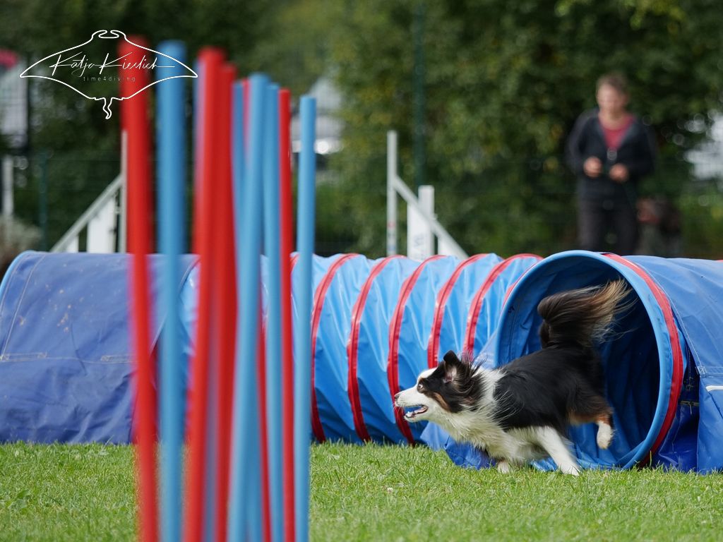 P1058436_CR_2025-09-21-vormittag-4 P1058436_CR_2025-09-21-vormittag-4