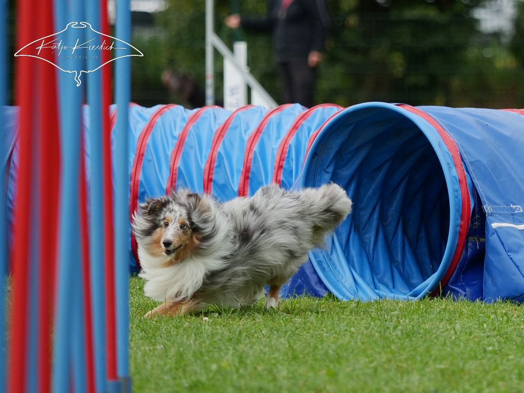 P1058463_CR_2025-09-21-vormittag-4 P1058463_CR_2025-09-21-vormittag-4