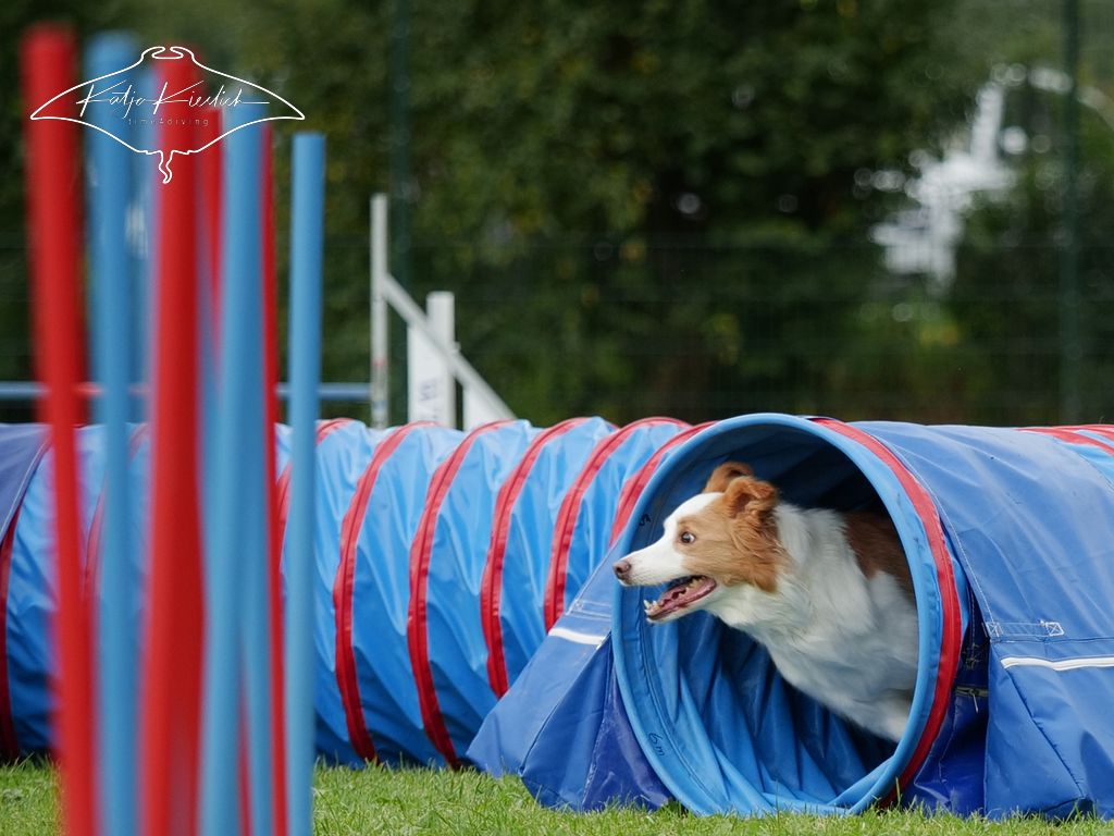 P1058501_CR_2025-09-21-vormittag-4 P1058501_CR_2025-09-21-vormittag-4