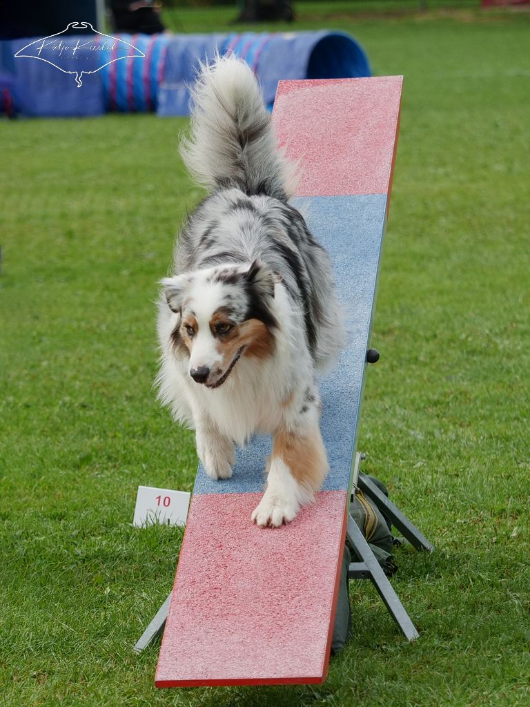 P1058650_CR_2025-09-21-nachmittag-1 P1058650_CR_2025-09-21-nachmittag-1