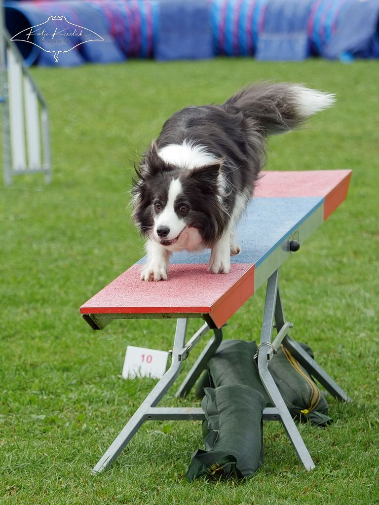 P1058717_CR_2025-09-21-nachmittag-1 P1058717_CR_2025-09-21-nachmittag-1