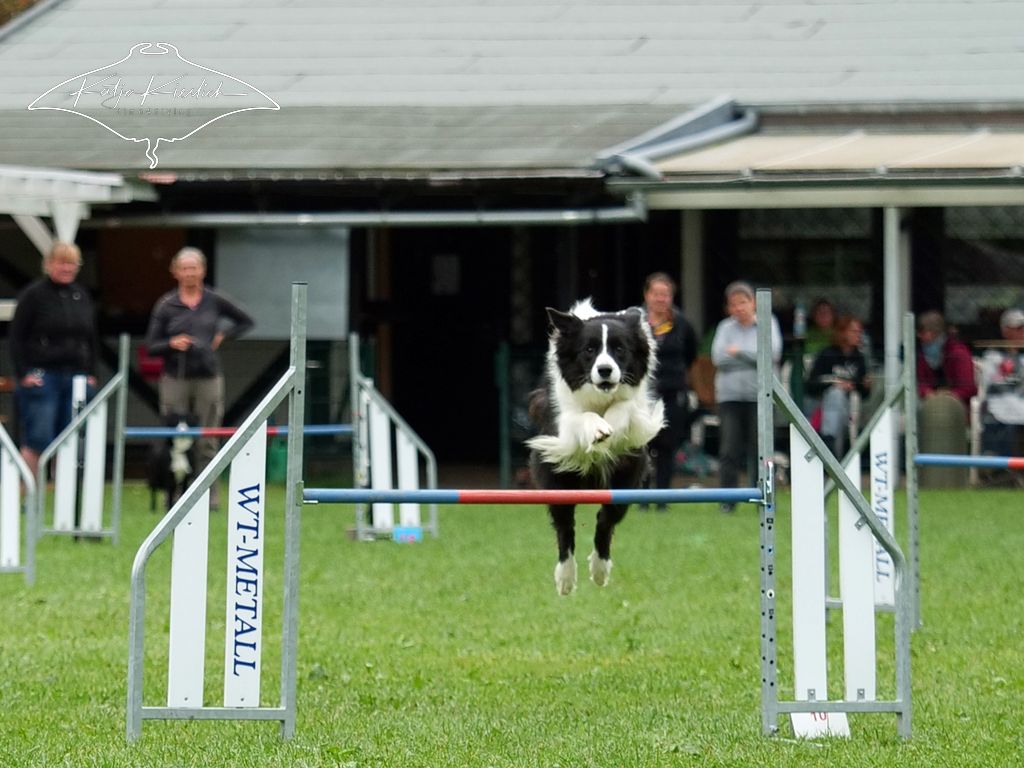 P1058986_CR_2025-09-21-nachmittag-2 P1058986_CR_2025-09-21-nachmittag-2