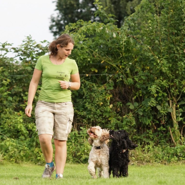 claudia https://www.hsf1959.de/wp-content/uploads/2025/09/claudia.jpg