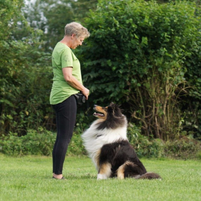 dagmar https://www.hsf1959.de/wp-content/uploads/2025/09/dagmar.jpg