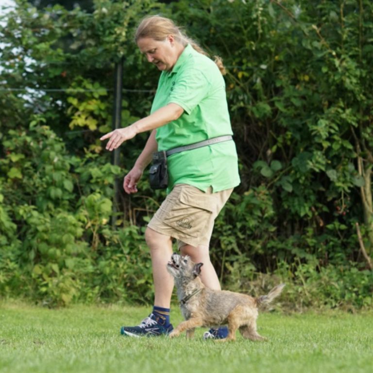 evalotta https://www.hsf1959.de/wp-content/uploads/2025/09/evalotta.jpg