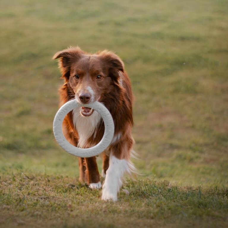 obiweb https://www.hsf1959.de/wp-content/uploads/2025/09/pexels-38715111-12505898-e1756923919195.jpg