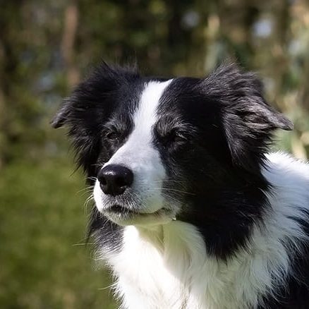 Cake https://www.hsf1959.de/wp-content/uploads/2025/10/Cake.jpg